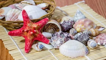 Що купити в шарм-ель-Шейху - що привезти з Єгипту сувеніри та подарунки, відгуки про шопінг (ціни) Що купити в шарм-ель-Шейху - що привезти з Єгипту сувеніри та подарунки, відгуки про шопінг