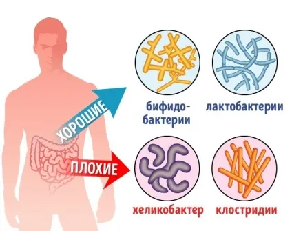 Що станеться з тілом, якщо з'їдати 4 мигдальних горіха щодня (горіха) Що станеться з тілом, якщо з'їдати 4 мигдальних горіха щодня
