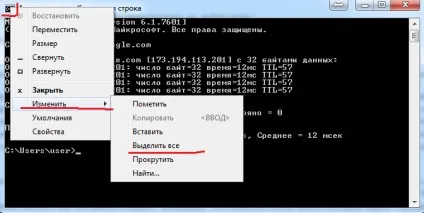 Що таке ping і як його запустити (ping) Що таке ping і як його запустити