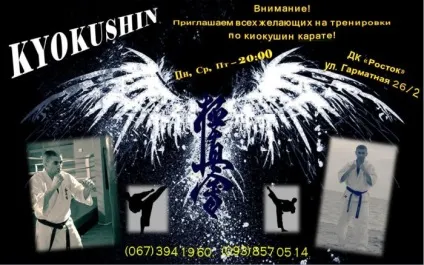 Що таке кіокушин карате