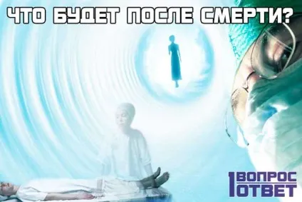 Що таке людина уявлення про людину з точки зору науки, релігії та філософії (таке) Що таке людина уявлення про людину з точки зору науки, релігії та філософії
