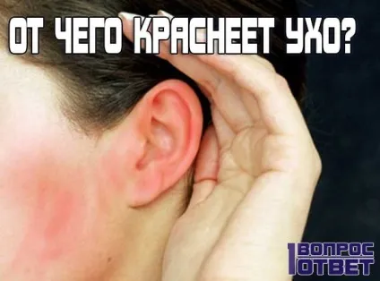 Що таке людина уявлення про людину з точки зору науки, релігії та філософії (таке) Що таке людина уявлення про людину з точки зору науки, релігії та філософії