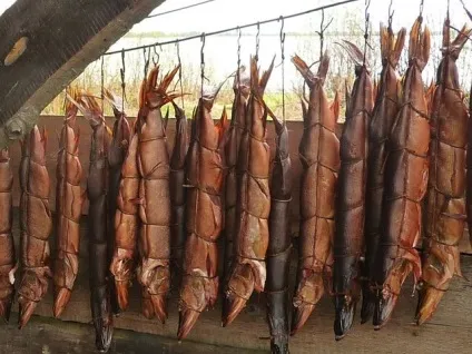 Що таке копчення види копчення