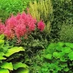 Квіткова композиція з хостами для півтіні, створюємо гарний сад