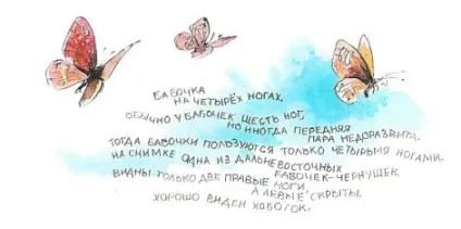 Що ж таке метелики Новомосковскть онлайн на indbooks (метеликів інших комах) Що ж таке метелики Новомосковскть онлайн на indbooks