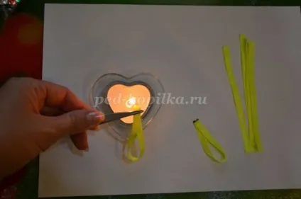 Квіти з черепашок своїми руками (квіти) Квіти з черепашок своїми руками