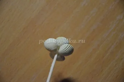 Квіти з черепашок своїми руками (руками) Квіти з черепашок своїми руками