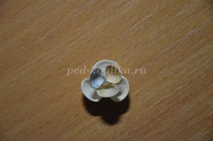 Квіти з черепашок своїми руками (квіти) Квіти з черепашок своїми руками