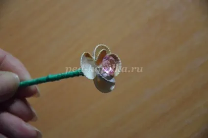 Квіти з черепашок своїми руками (своїми) Квіти з черепашок своїми руками