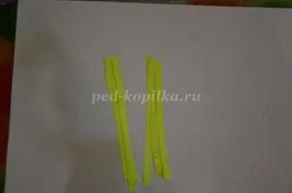 Квіти з черепашок своїми руками (своїми) Квіти з черепашок своїми руками