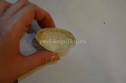 Квіти з черепашок своїми руками (квіти) Квіти з черепашок своїми руками