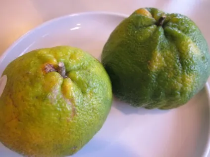 чудеса селекції