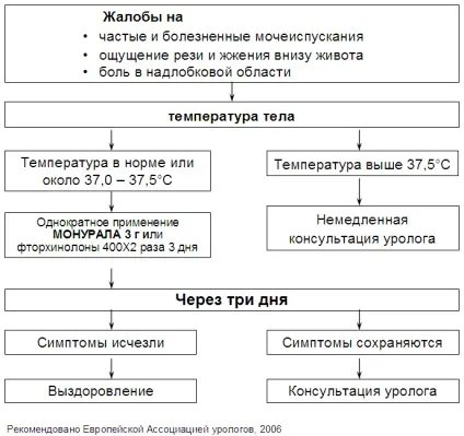 Цистит визначення, симптоми, лікування (цистит) Цистит визначення, симптоми, лікування