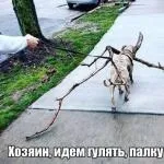 Так чому я вас повинна хотіти! Ну, назвіть хоч одну причину, від пристрасті мл (хотіти) Так чому я вас повинна хотіти! Ну, назвіть хоч одну причину, від пристрасті мл