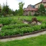 Декоративний город в ландшафтному дизайні; пристрій городу (ландшафтному) Декоративний город в ландшафтному дизайні; пристрій городу