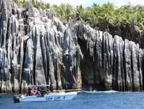 Дайвінг сафарі в Єгипті дайв-сафарі від групи rudive (москва) Дайвінг сафарі в Єгипті дайв-сафарі від групи rudive