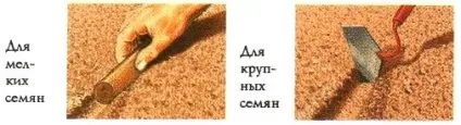 розподіл рослин