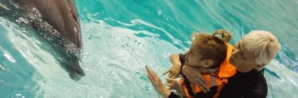 Дельфінотерапія та реабілітація дітей з ДЦП (дельфінотерапія) Дельфінотерапія та реабілітація дітей з ДЦП
