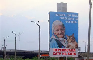 день котика