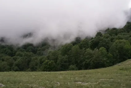 Демерджі (демірджі) - все про відпочинок в криму (криму) Демерджі (демірджі) - все про відпочинок в криму