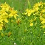 Дихання вогню користь, здоровий спосіб життя-легко! (Вогню) Дихання вогню користь, здоровий спосіб життя-легко!