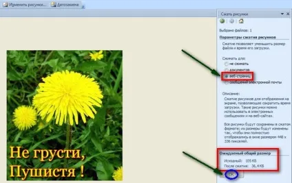 Диспетчер малюнків - відмінний помічник в редагуванні фото (графічний редактор) Диспетчер малюнків - відмінний помічник в редагуванні фото