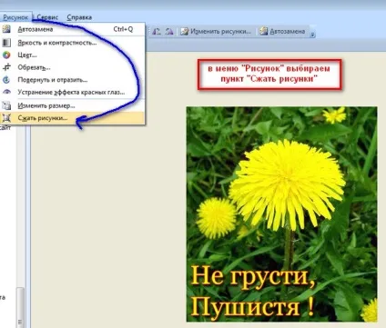 Диспетчер малюнків - відмінний помічник в редагуванні фото (обробка фото) Диспетчер малюнків - відмінний помічник в редагуванні фото