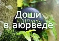 Доша питта опис і харчування за аюрведою (опис) Доша питта опис і харчування за аюрведою