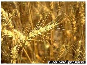 Договір контрактації особливості, істотні умови договору контрактації