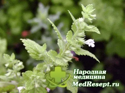 Долихосигма кишечника симптоми, лікування, народні засоби - медичні поради