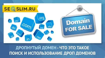 Дроп домени - що це таке, пошук і використання дропнутих доменів (дроп) Дроп домени - що це таке, пошук і використання дропнутих доменів