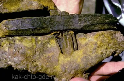 Древні артефакти цивілізацій і працивилизации, як що де і чому відповіді на питання онлайн сайт (артефакти) Древні артефакти цивілізацій і працивилизации, як що де і чому відповіді на питання онлайн сайт