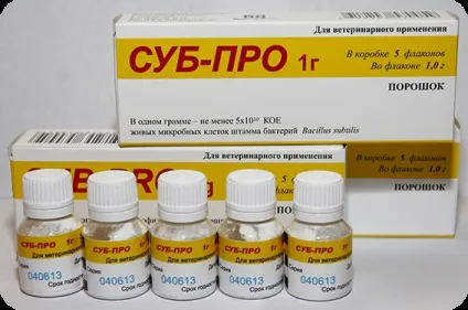 Домашні тварини