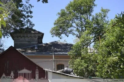 Будинок і дача керуючого царським маєтком (маєтком) Будинок і дача керуючого царським маєтком