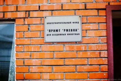 Будинок для бездомних тварин, фото новини (Можна приїжджати притулок) Будинок для бездомних тварин, фото новини
