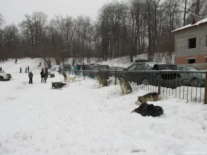 будинки емо
