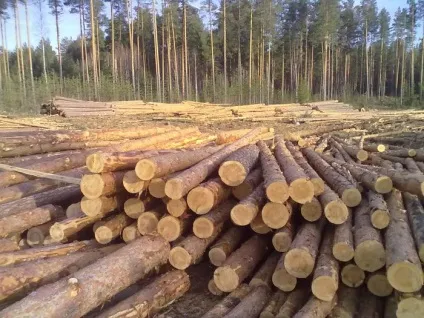 Будинок з кругляка і як побудувати зруб з круглого колоди відео (колоди) Будинок з кругляка і як побудувати зруб з круглого колоди відео