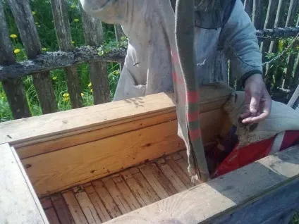 видобуток меду