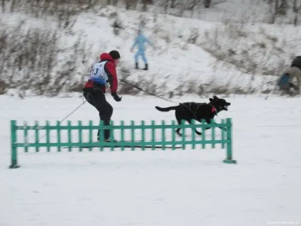 будинки емо
