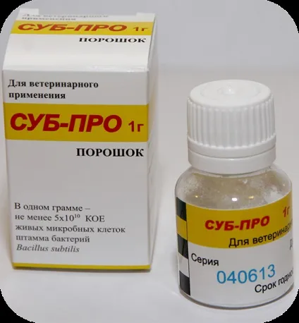 Домашні тварини