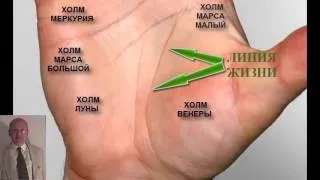 Подвійна лінія життя роздвоєння на правій руці (лінія) Подвійна лінія життя роздвоєння на правій руці