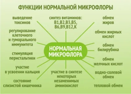 Ефективні ліки і таблетки від розладу шлунка і кишечника (кишечник) Ефективні ліки і таблетки від розладу шлунка і кишечника