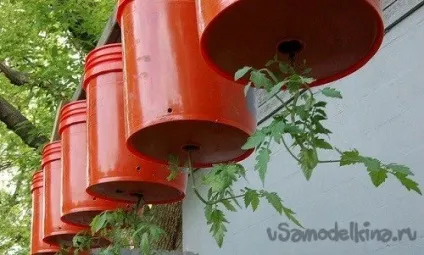 Вирощуємо овочі догори дригом