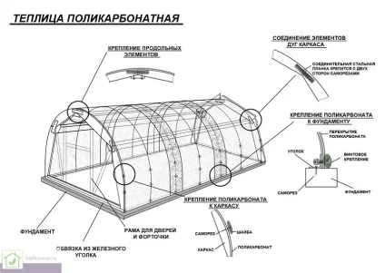 Види полікарбонату - розміри, характеристики і застосування