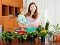 Експеримент - які зрізані квіти зберігаються довше (які) Експеримент - які зрізані квіти зберігаються довше