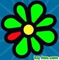 Експерти назвали причину глобального збою icq