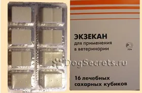 Екзекан для собак інструкція, побічні ефекти, ціна, відгуки (ціна) Екзекан для собак інструкція, побічні ефекти, ціна, відгуки