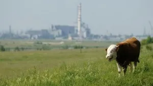 Екологічний аудит, загальна інформація