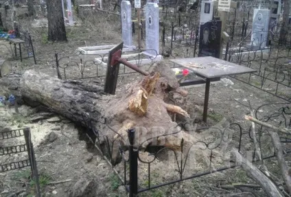 Якщо на кладовищі потрібно спиляти дерево або видалити пень (видалити) Якщо на кладовищі потрібно спиляти дерево або видалити пень