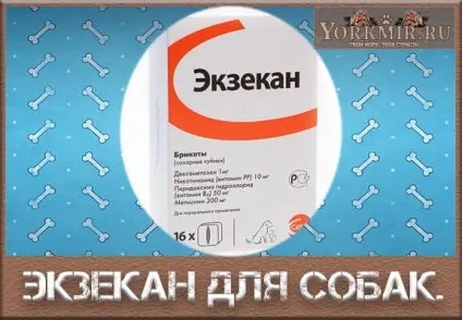 Екзекан для собак, побічні ефекти, ціна препарату (побічні) Екзекан для собак, побічні ефекти, ціна препарату